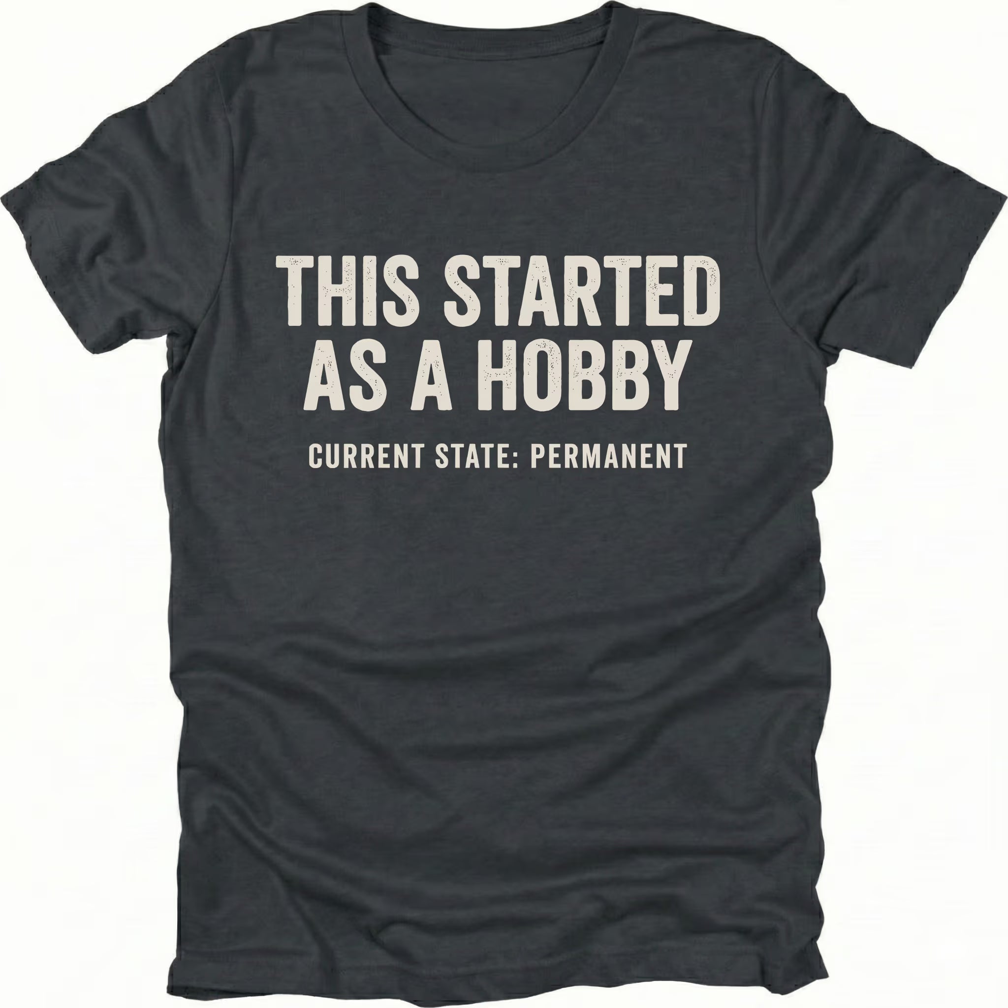 Black t-shirt with text reading “This Started As a Hobby – Current State: Permanent” displayed on the front.