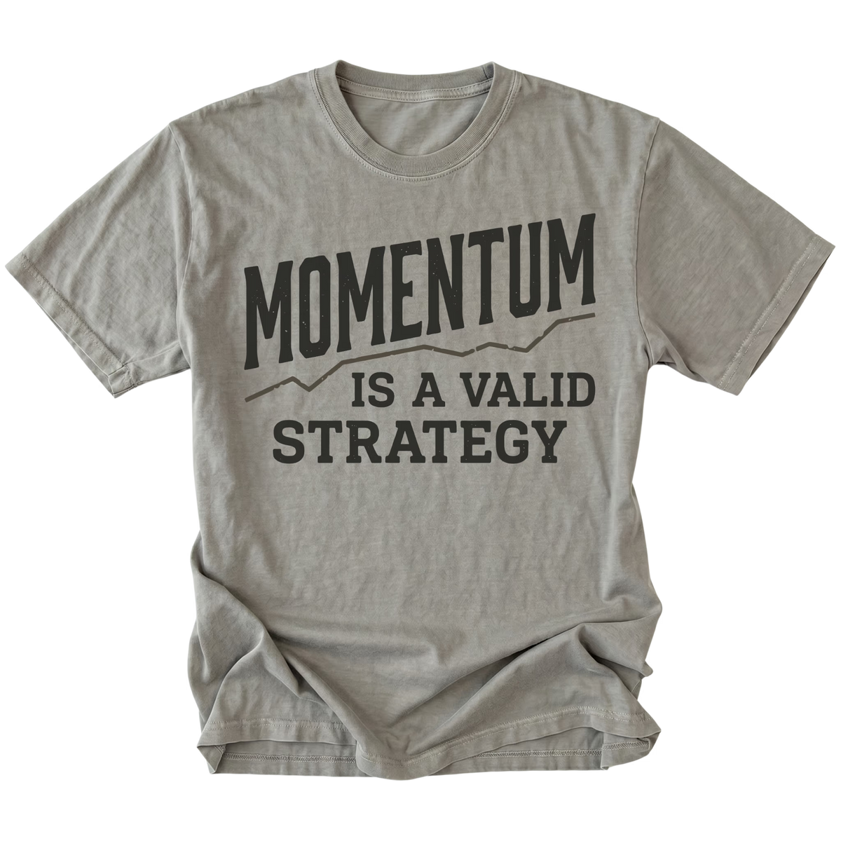 A light steel gray crewneck t-shirt with a dark gray graphic print that reads 'MOMENTUM IS A VALID STRATEGY' on a plain white background.